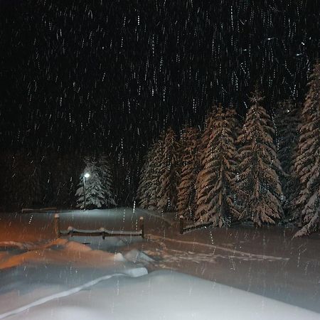 Home Belic Golija Radaljica المظهر الخارجي الصورة