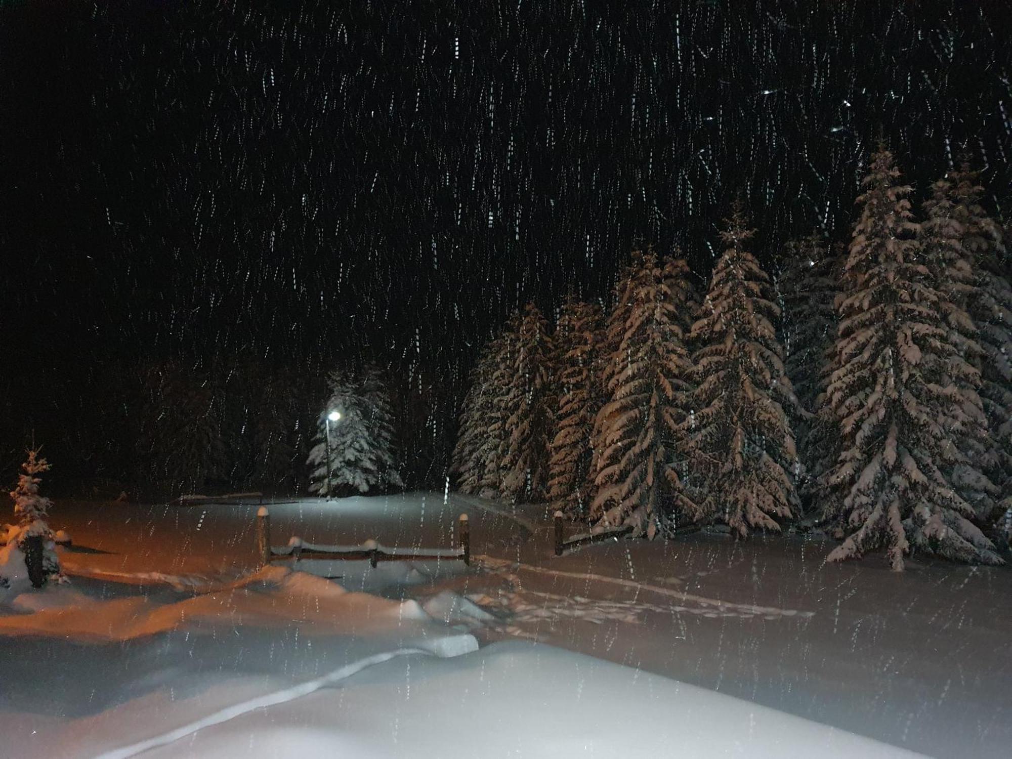 Home Belic Golija Radaljica المظهر الخارجي الصورة