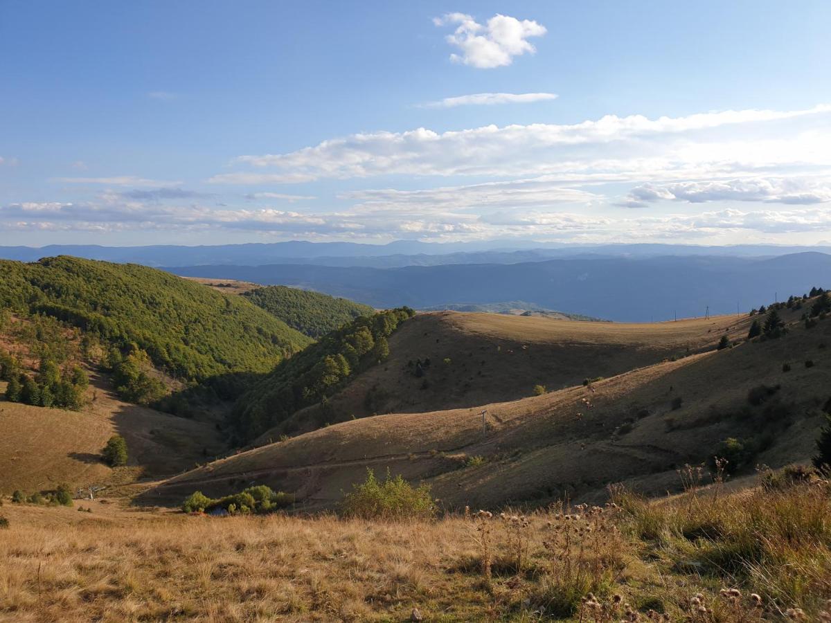 Home Belic Golija Radaljica المظهر الخارجي الصورة