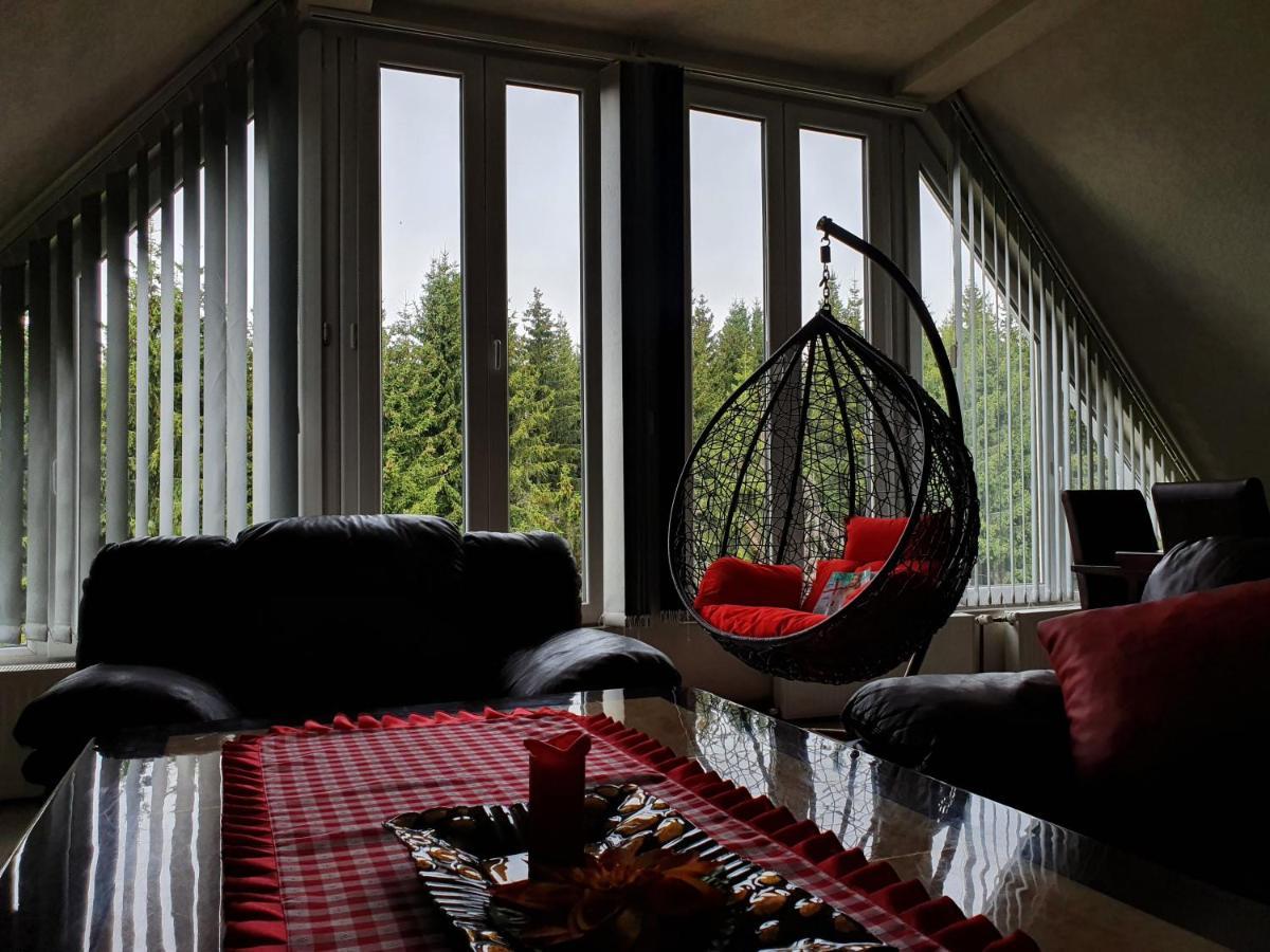 Home Belic Golija Radaljica المظهر الخارجي الصورة